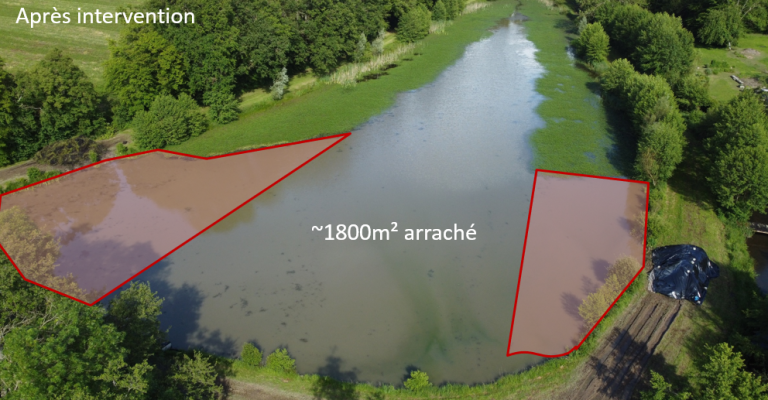 Capture d’écran 2024-07-01 151536